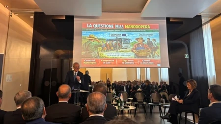 Ortofrutta: record export, ma senza braccia si ferma tutto