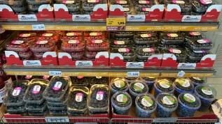 Piccoli frutti in Gdo Padova: tanti mirtilli e prezzi bassi