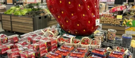 Francia, troppe fragole: spot TV durante il meteo-image