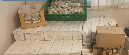 Catania, recuperata frutta secca rubata-image