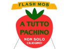 FlashMob_ATuttoPachino