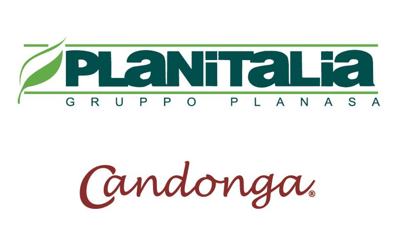 Candonga_Planitalia
