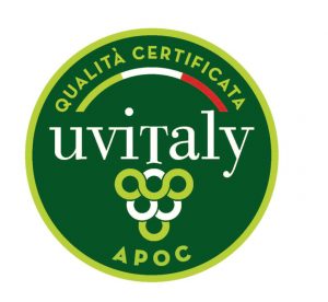 Uvitaly_Logo