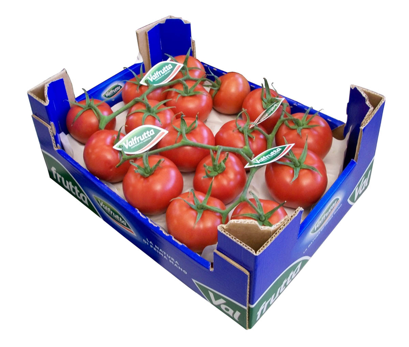 Pomodori senza Nichel: un sogno che - Gruppo Arena Decò