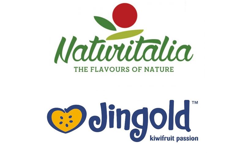 Naturitalia_Kiwi_Jingold