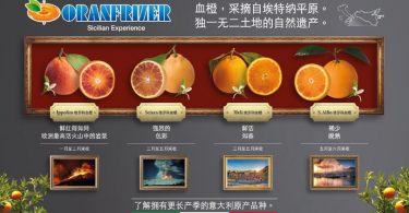 Oranfrizer_China