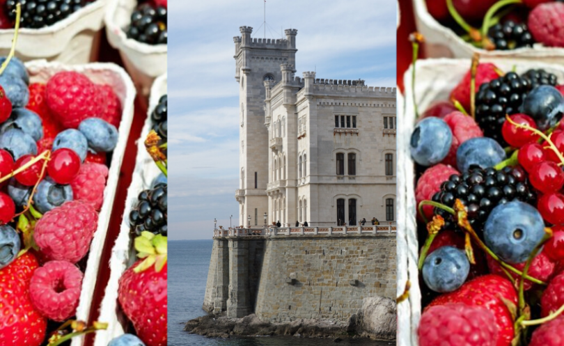 osservatorio piccoli frutti - Trieste
