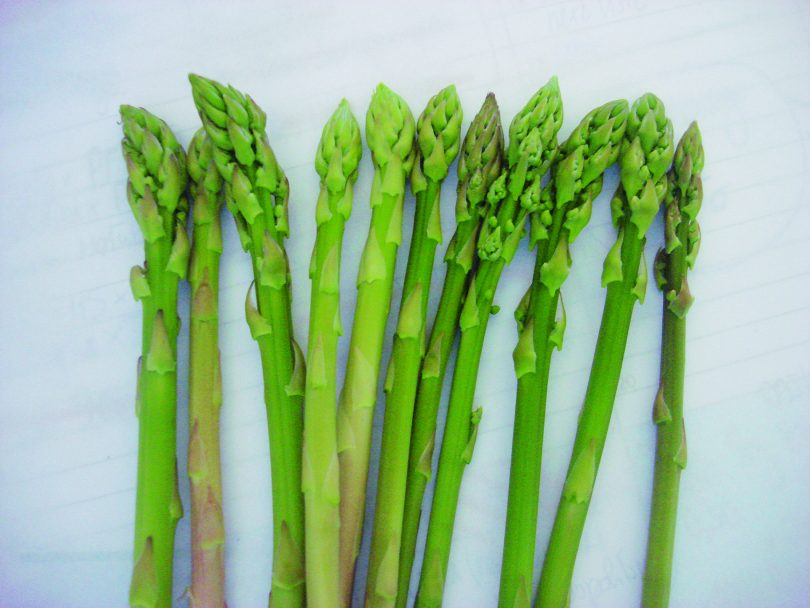 geoplant asparago