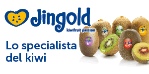 Jingold-FocusGDO_banlaterale_4gen-4apr