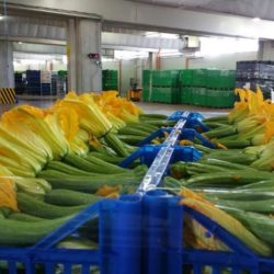 Dai mercati: ortaggi alle stelle, ma calano le zucchine