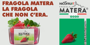 Nicofruit_top banner laterale_27mar-2apr_2023
