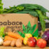 Babaco Market estende il servizio in Toscana e Lazio