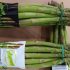 Buona annata per l’asparago napoletano: “Mai sotto i 6 euro”