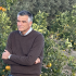 Siccità: Il consorzio arancia rossa di Sicilia chiama Lollobrigida